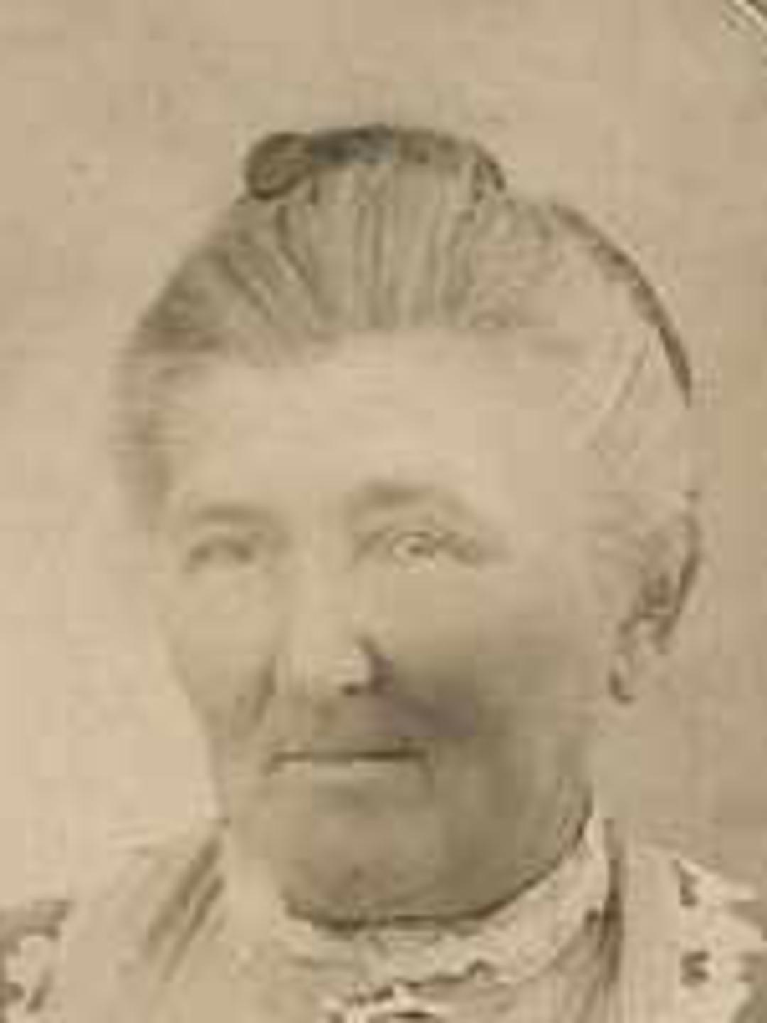 Lovia Ellen Clift (1849 - 1927) Profile